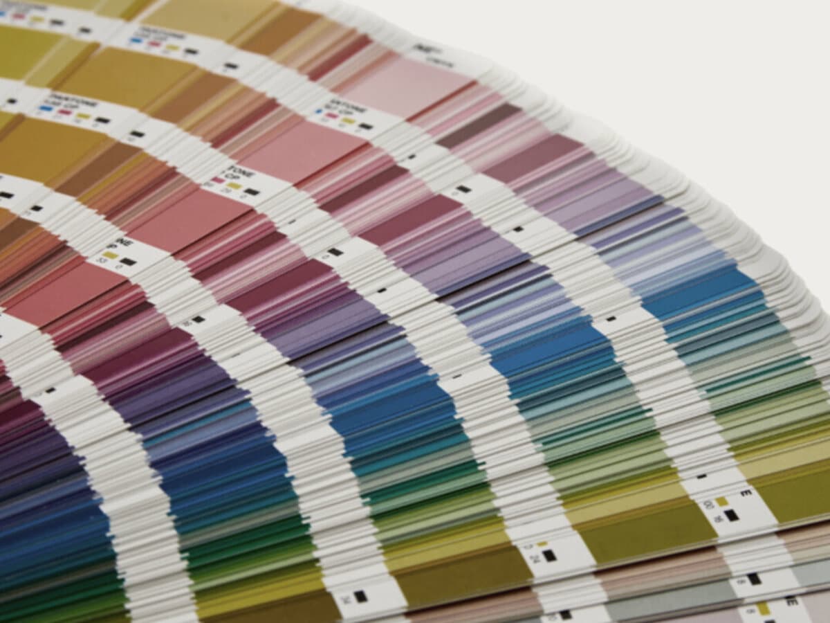 How much does branding cost?