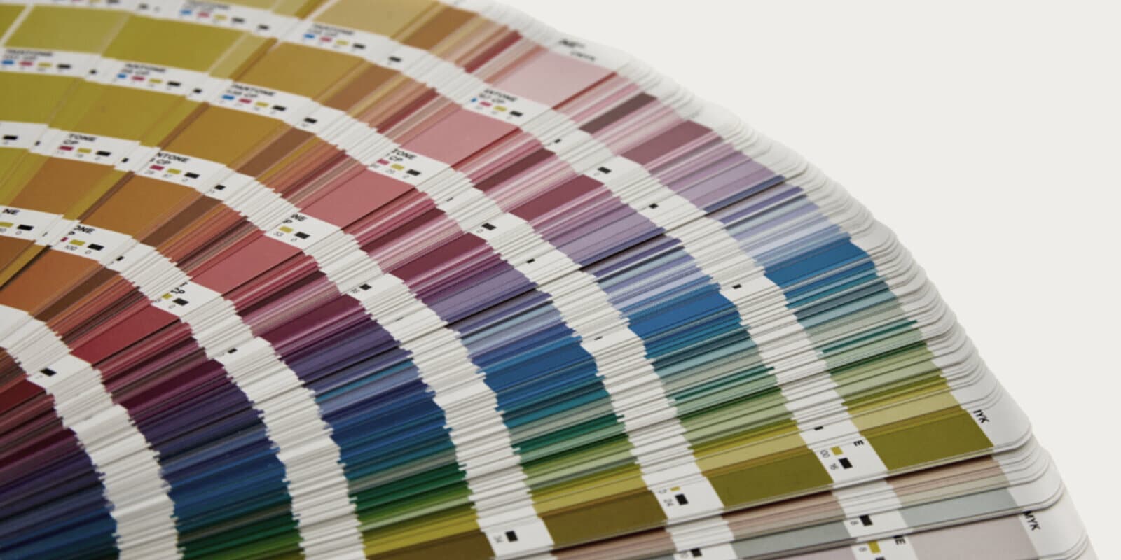 How much does branding cost? · Article banner